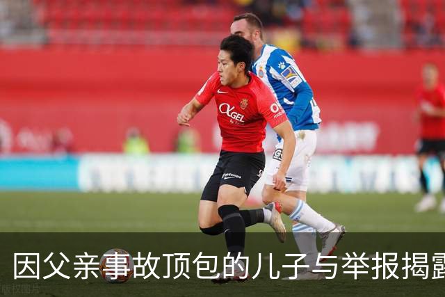 因父亲事故顶包的儿子与举报揭露父子双双获刑